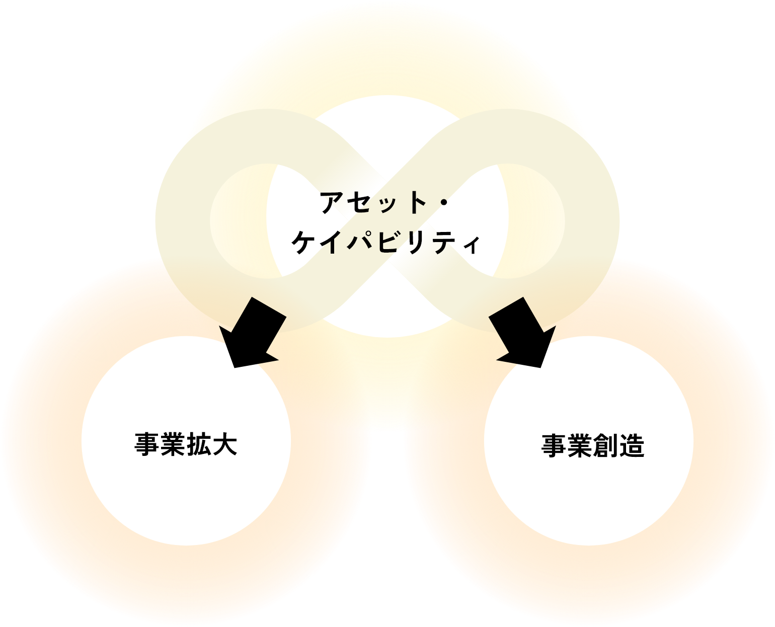 アセット・ケイパビリティの活用イメージ